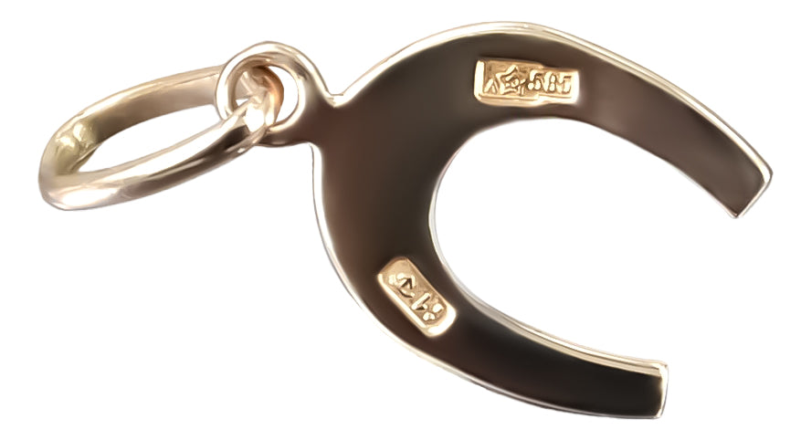 Vintage Horseshoe Pendant in 14K Rose Gold (vpn006) — side view showing the setting